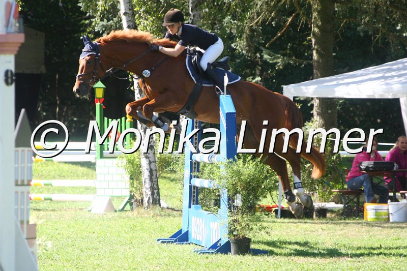 308M1356_Spring L.JPG